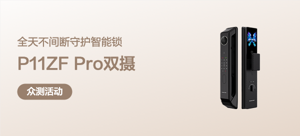 凯迪仕P11ZF Pro双摄  智能锁